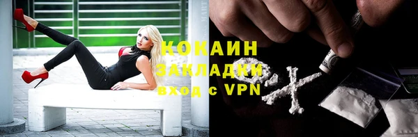 соль ск Богородск