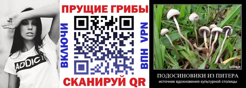 Галлюциногенные грибы Magic Shrooms Малмыж